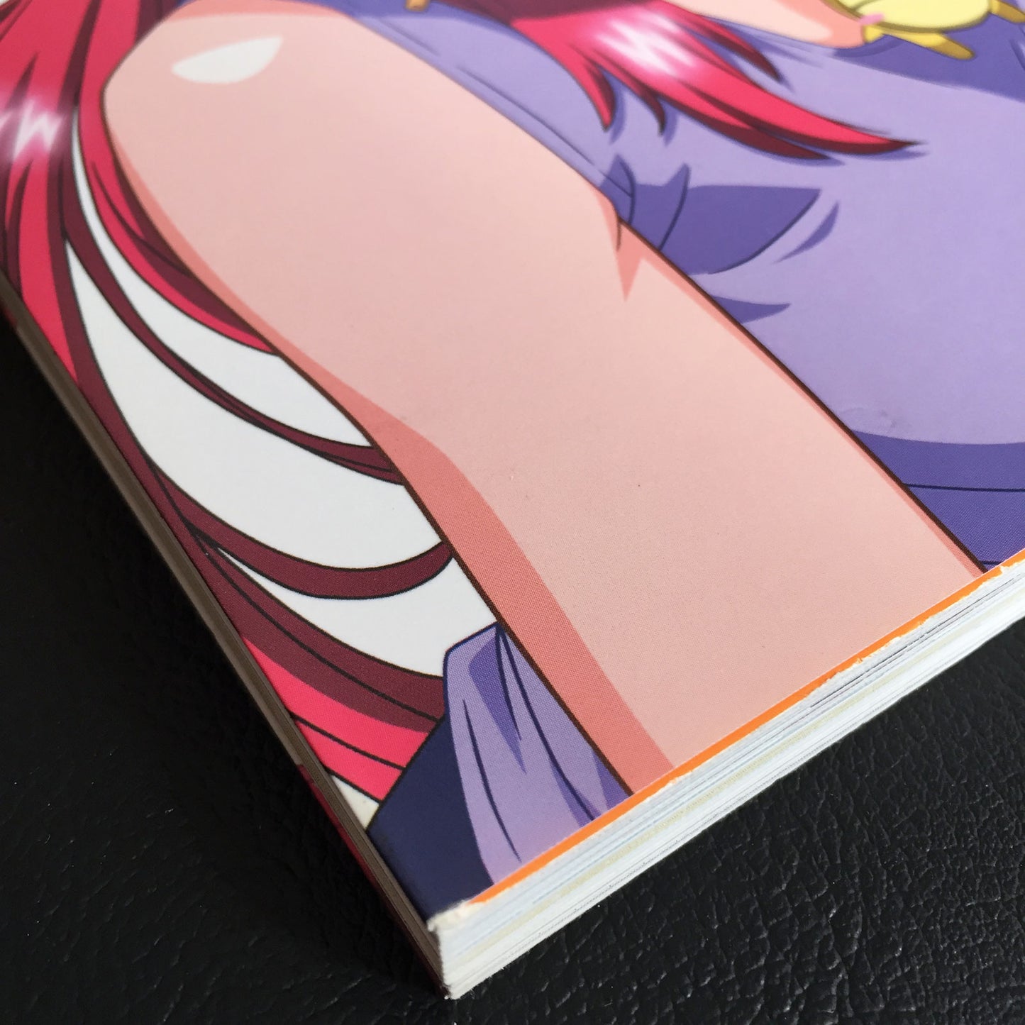 Please Teacher! Official Fan Book лето