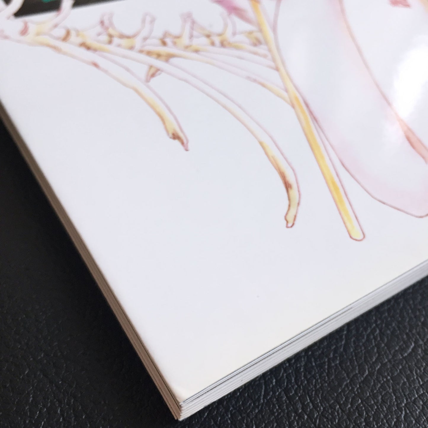 Tooko Miyagi Works 1993-1997 World end