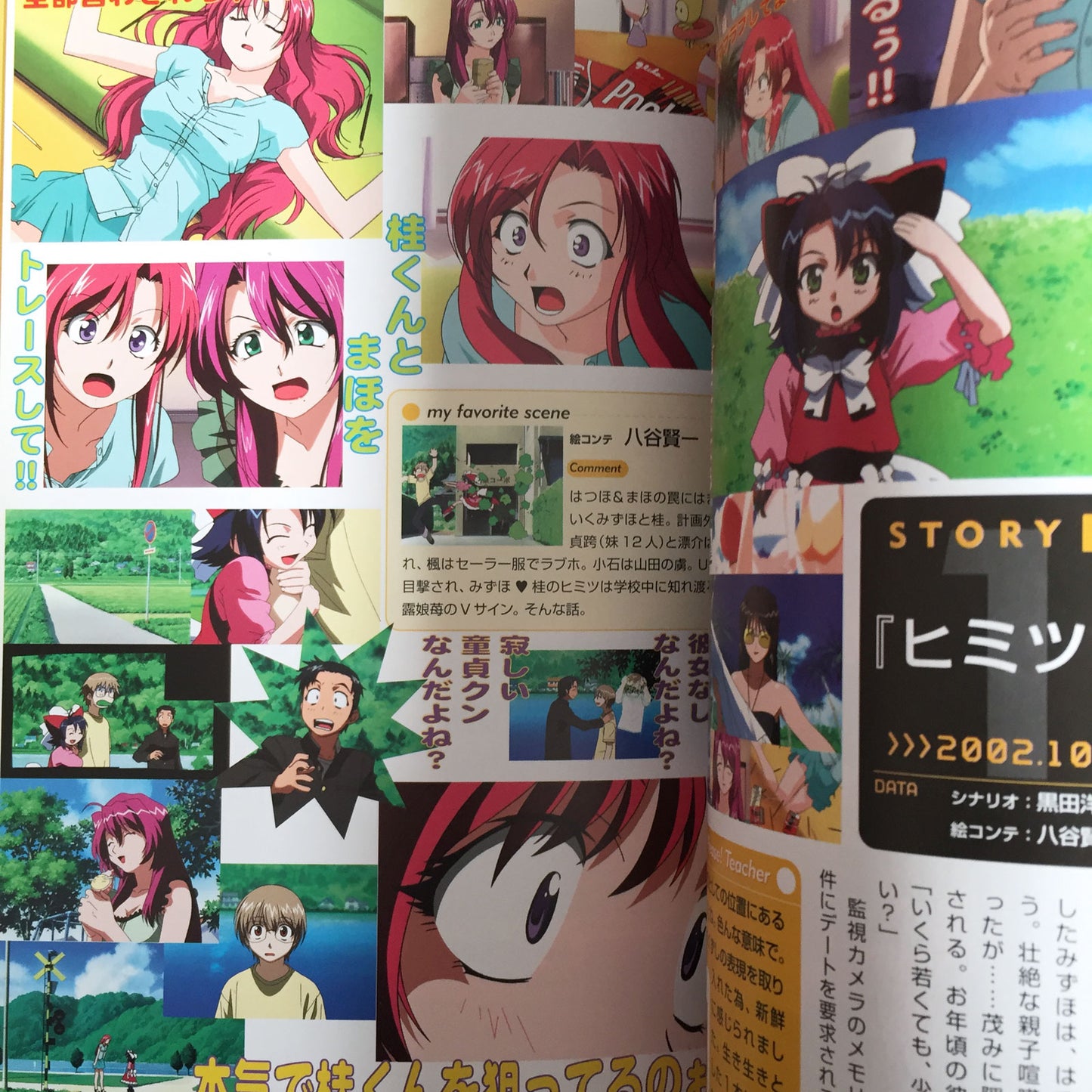 Please Teacher! Official Fan Book лето