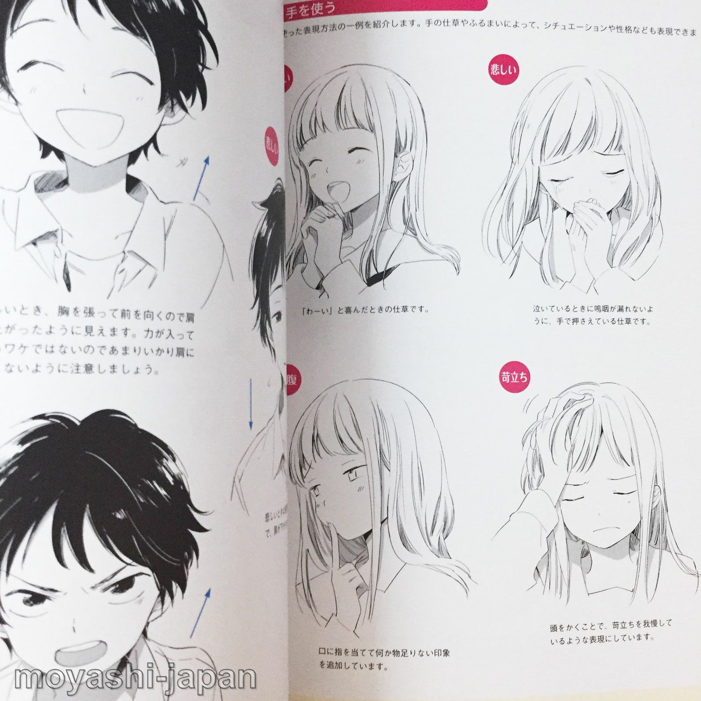 "Facial Expressions" Encyclopedia for Digital Illustrations