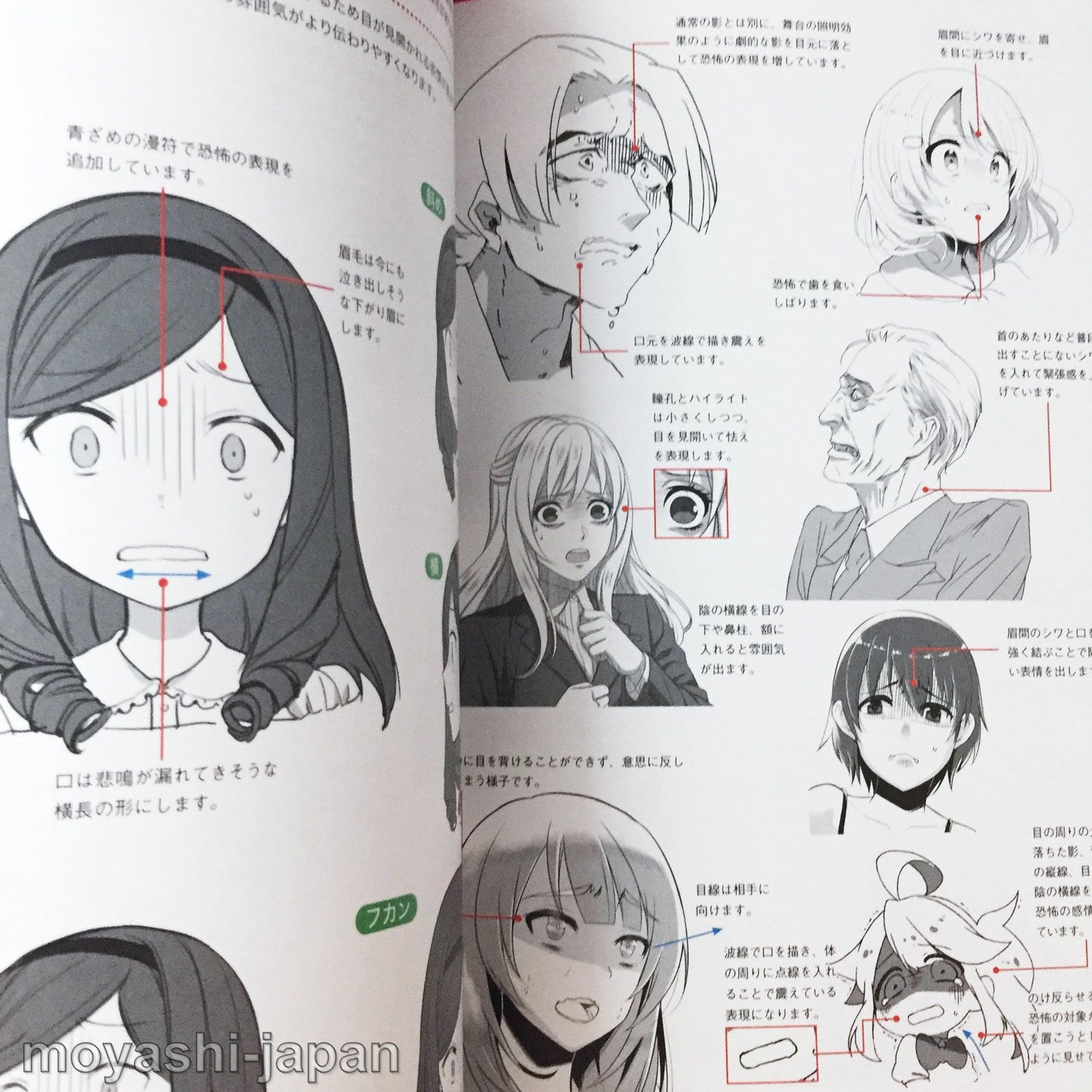 "Facial Expressions" Encyclopedia for Digital Illustrations