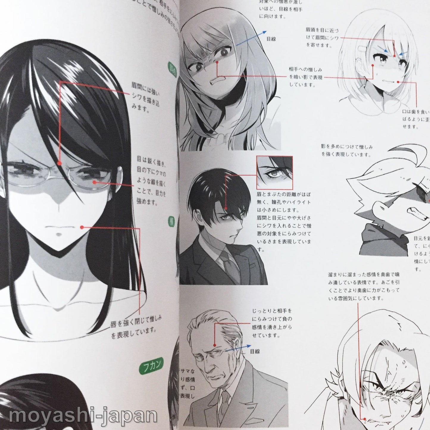 "Facial Expressions" Encyclopedia for Digital Illustrations