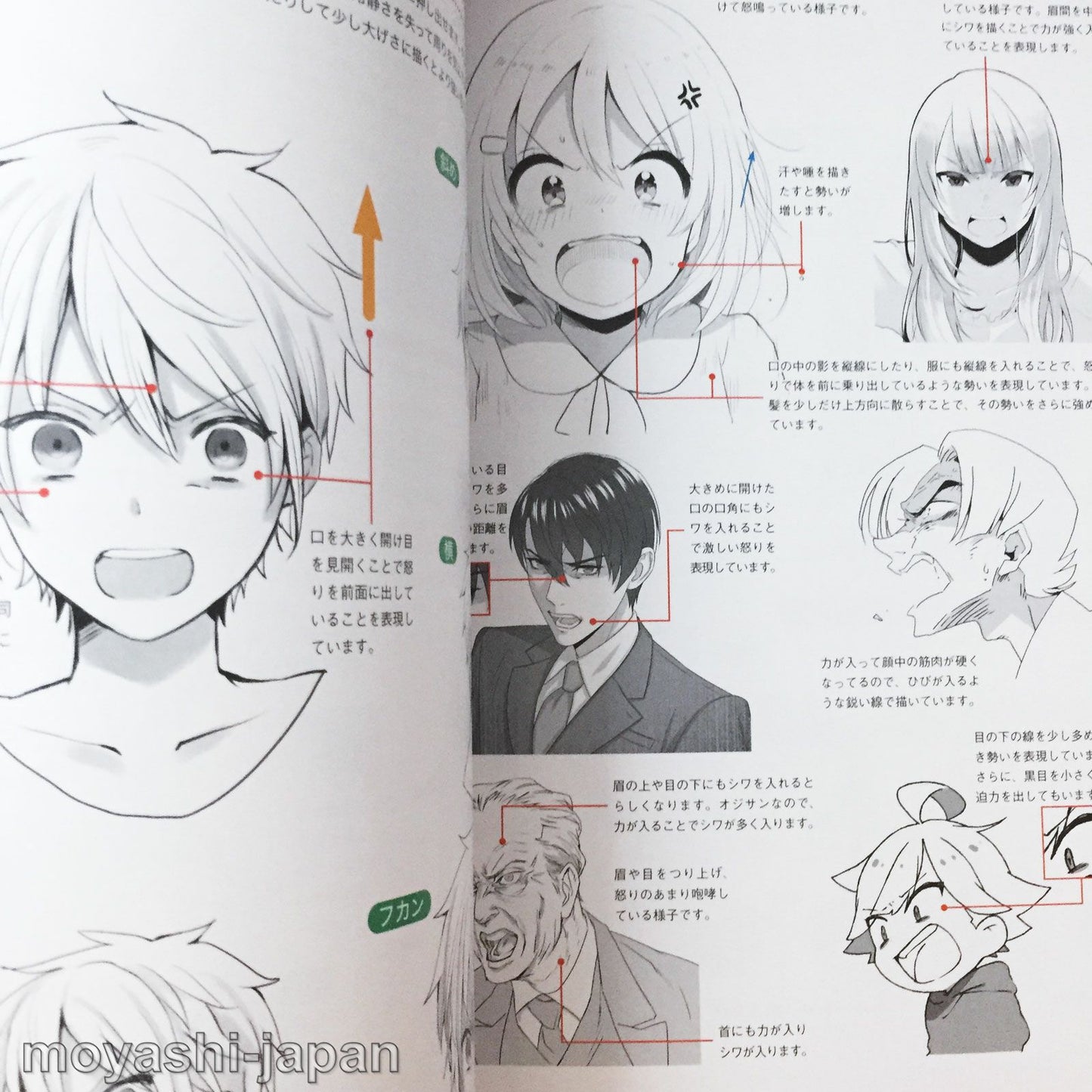 "Facial Expressions" Encyclopedia for Digital Illustrations