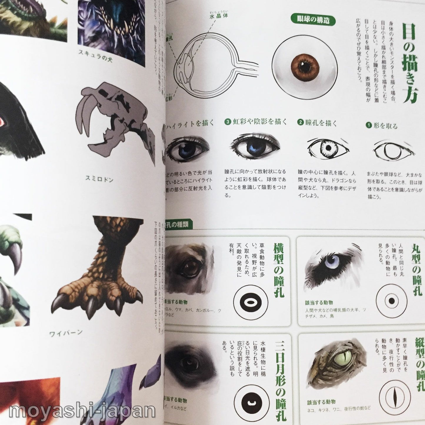Draw a Monster Skeleton, Fangs, Wings, Scales, Claws...