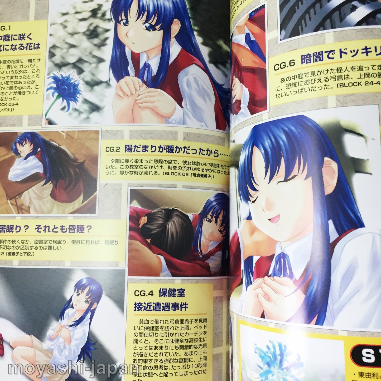 L no Kisetsu A piece of memories Visual Fan Book