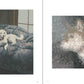 Manai Inu no Manimani - Jun Kumaori Dog Art Collection
