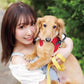 Aina Suzuki Photo Book Crossing