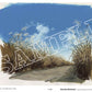 Hidetoshi Kaneko Animation Background Art Book: The Analog Paintings