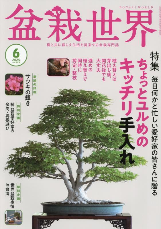 Bonsai World June 2025
