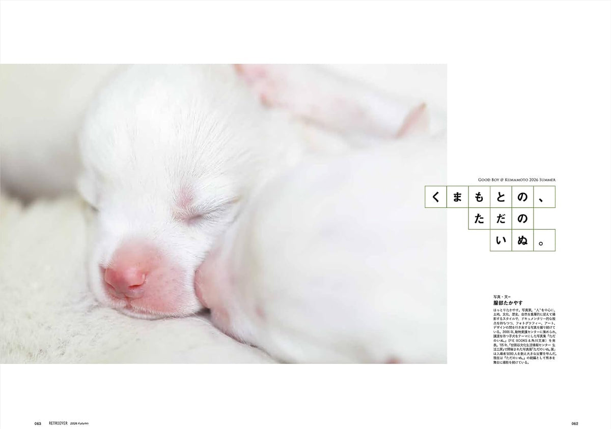 Retriever October 2026