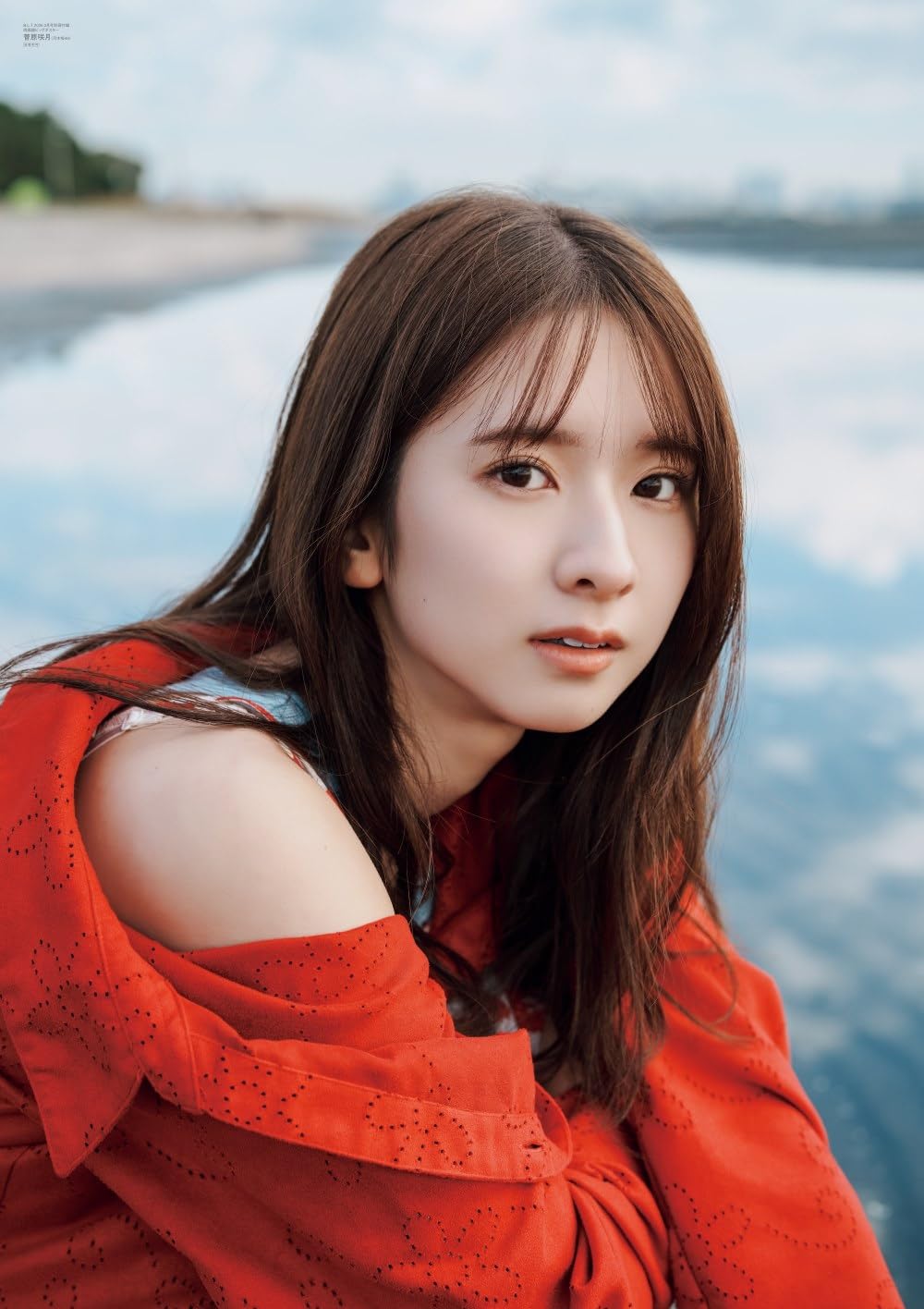 B.L.T. February 2026