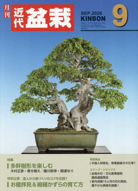 Kindai Bonsai September 2026 cover