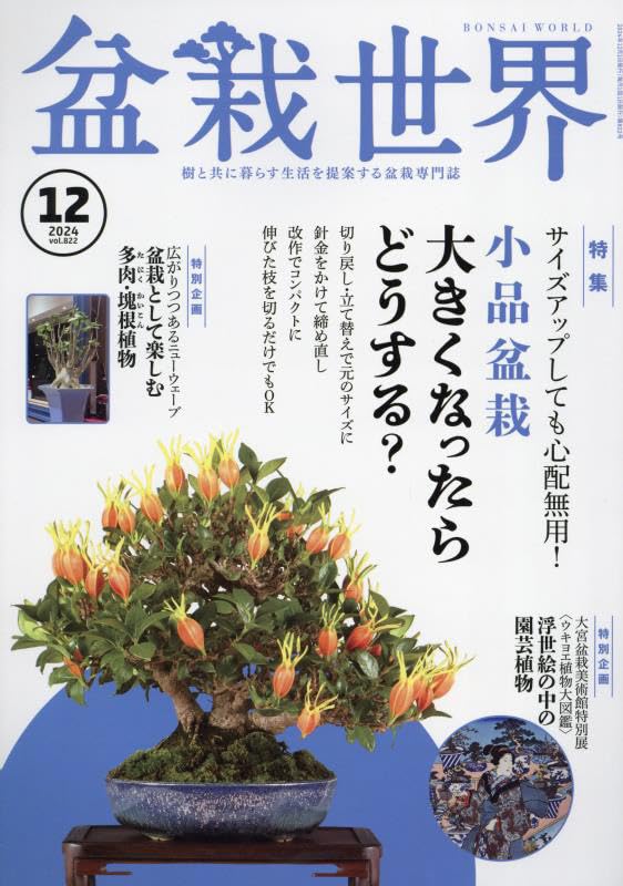 Bonsai World December 2024