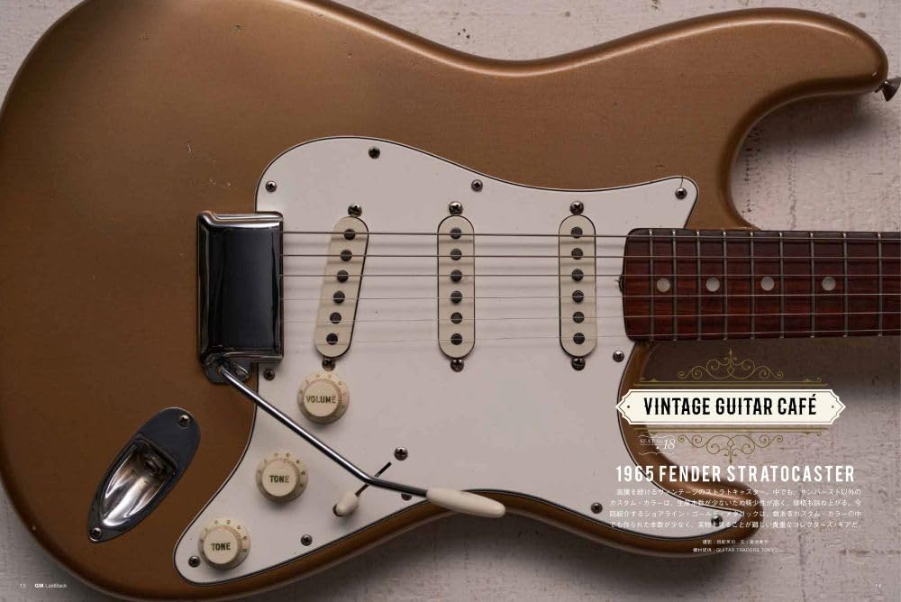 Guitar Magazine LaidBack Vol.19