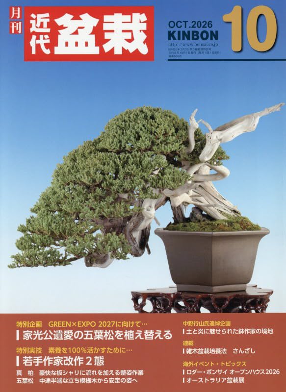 Kindai Bonsai October 2026 cover