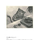 Chieko Terasawa Works Collection: Mainichi no, Suteki na Iroiro