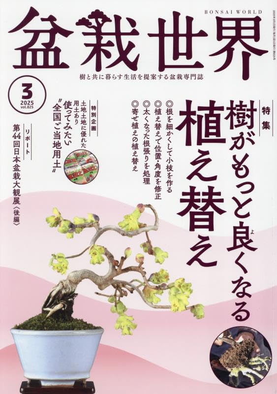 Bonsai World March 2025