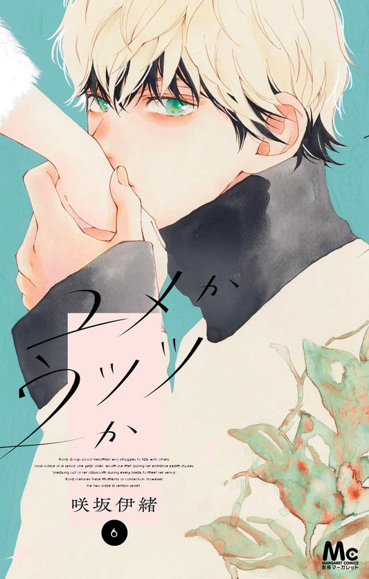 Yume ka Utsutsu ka Vol.6 cover