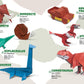 Dinosaur Origami Encyclopedia - Single Sheet No-Cut