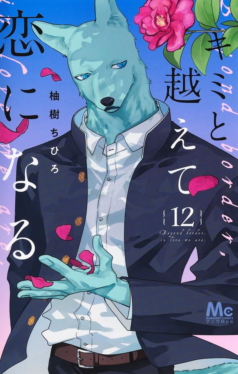 Kimi to Koete Koi ni Naru Vol.12 cover