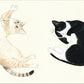 Cat Pose Illustrations