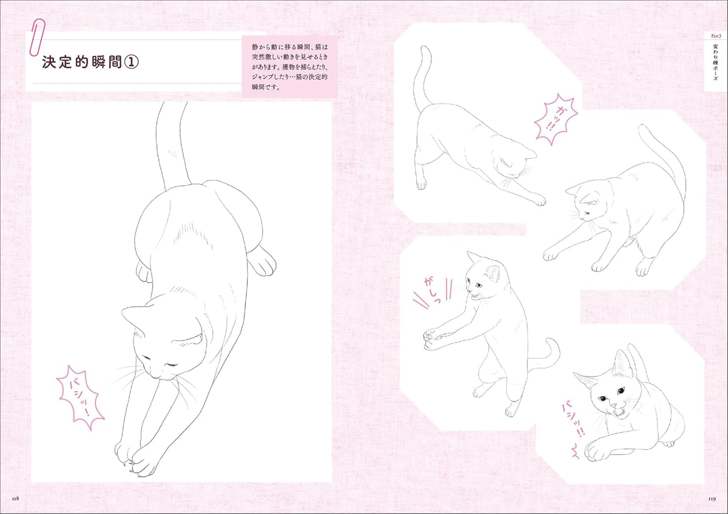 Cat Pose Illustrations