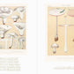 Beautiful Mushroom Illustrations of the World