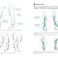 How to Draw Action Poses - Move Your Characters Freely