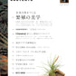 GREAT BOTANY Vol.4