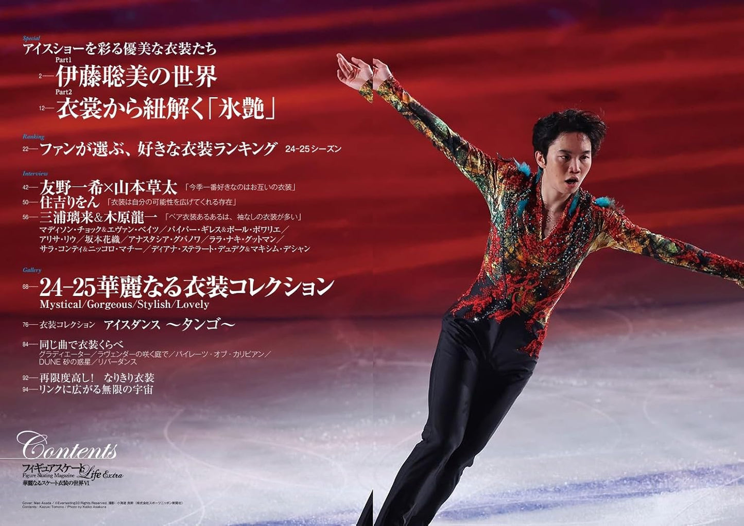 The world of Spectacular Skating Costumes 6