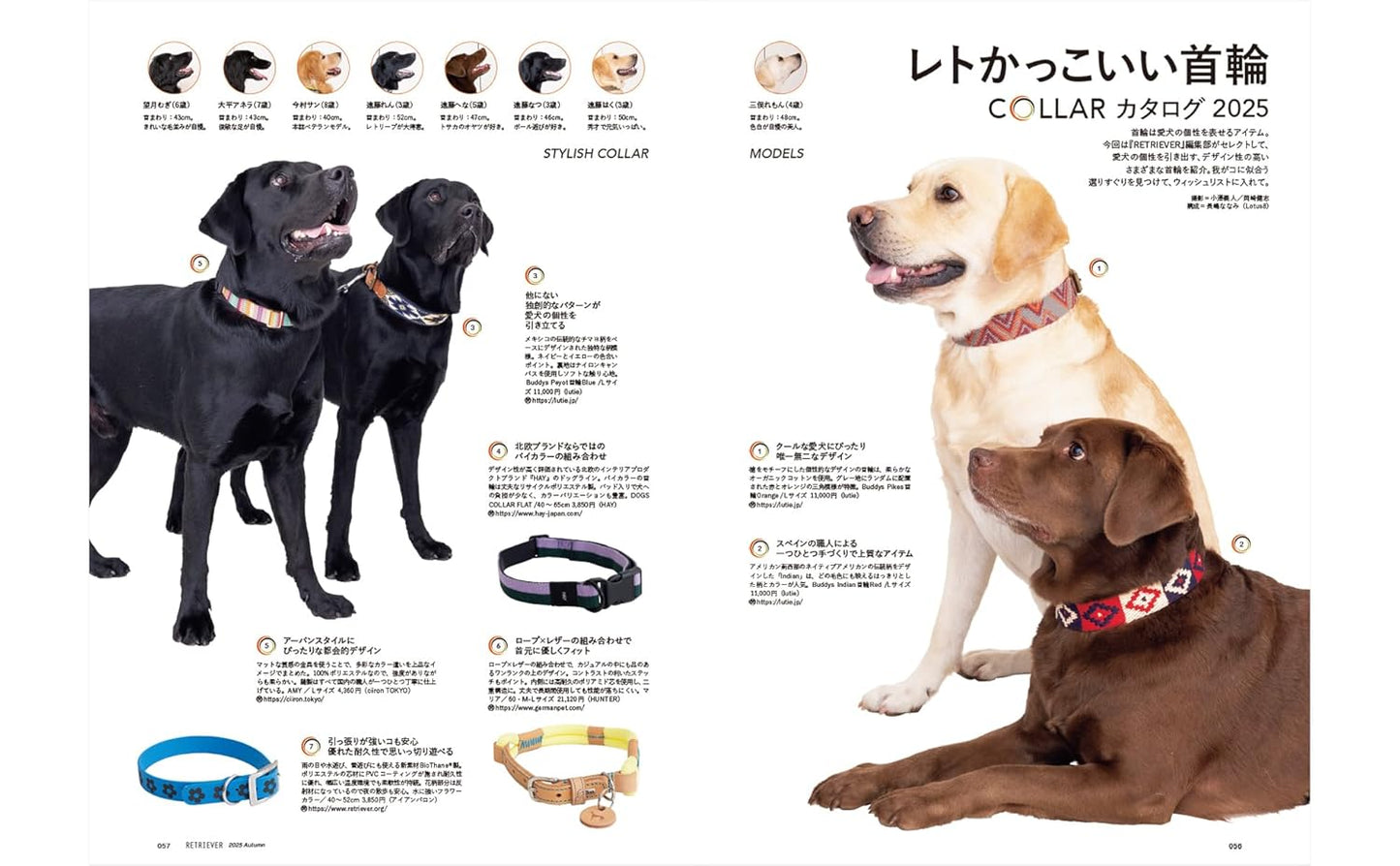RETRIEVER October 2025 Vol.121