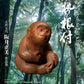 Ise Netsuke Sakai Masami Works Collection cover