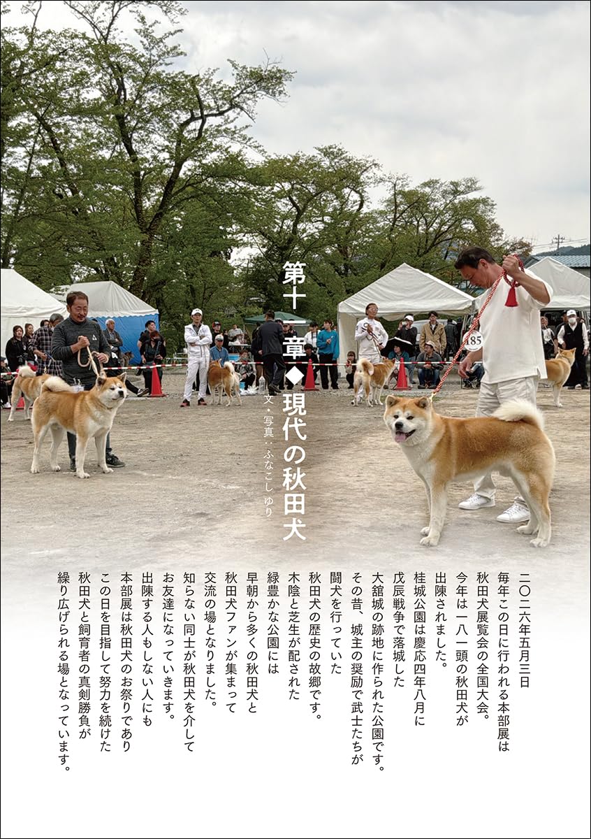 Akita Inu Reference Collection
