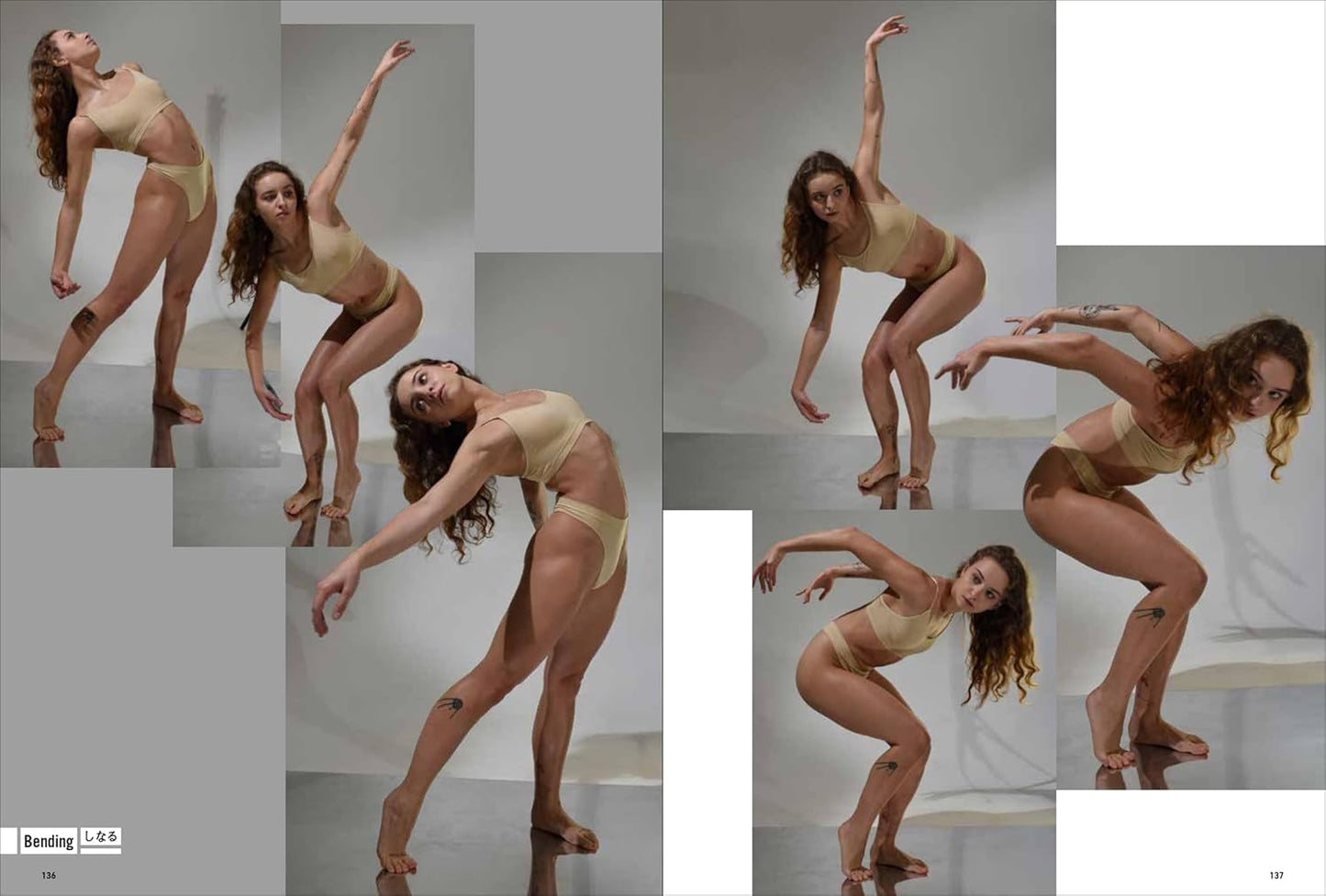 Fantasy Pose Collection for Creators Vol.1 Fairies and Elves