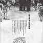 Akita Inu Reference Collection
