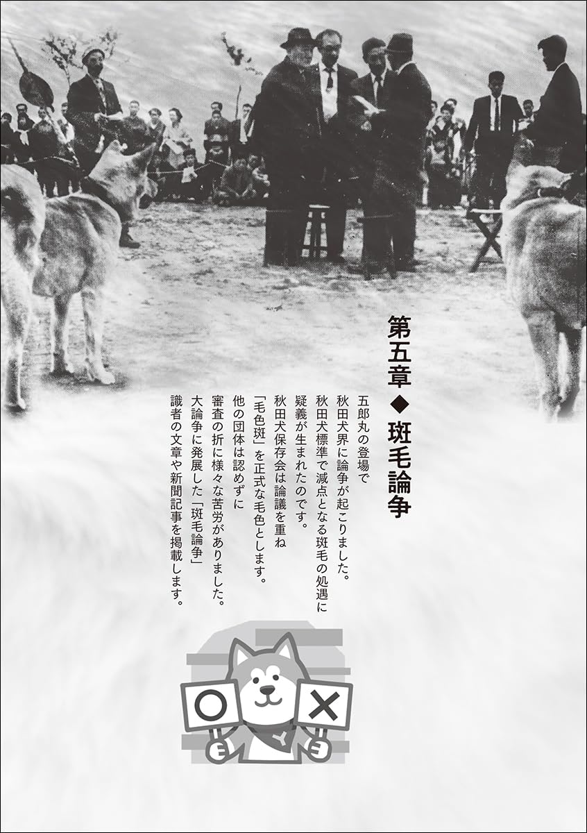 Akita Inu Reference Collection