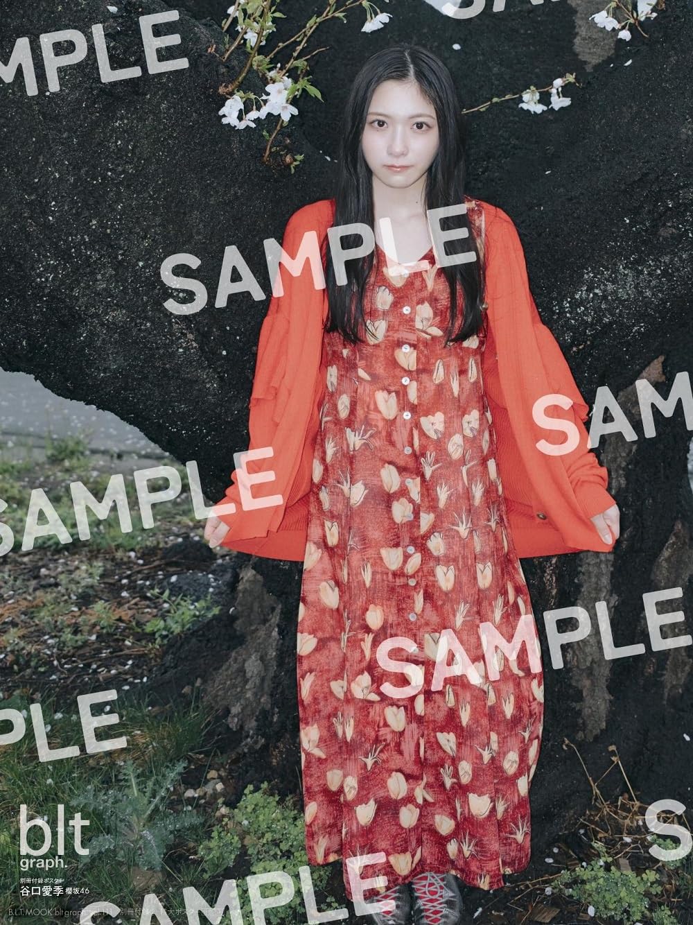 blt graph.vol.111