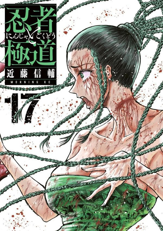 Ninja to Gokudo volume 17 manga cover