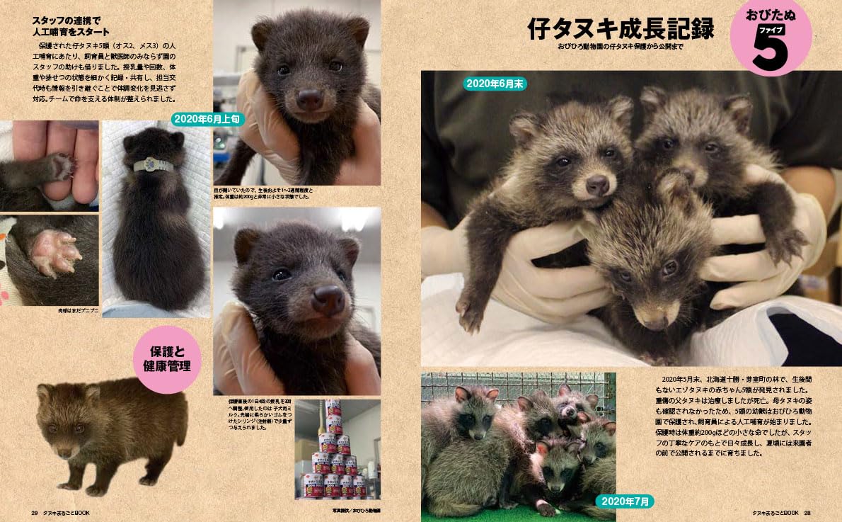 Tanuki Marugoto Book
