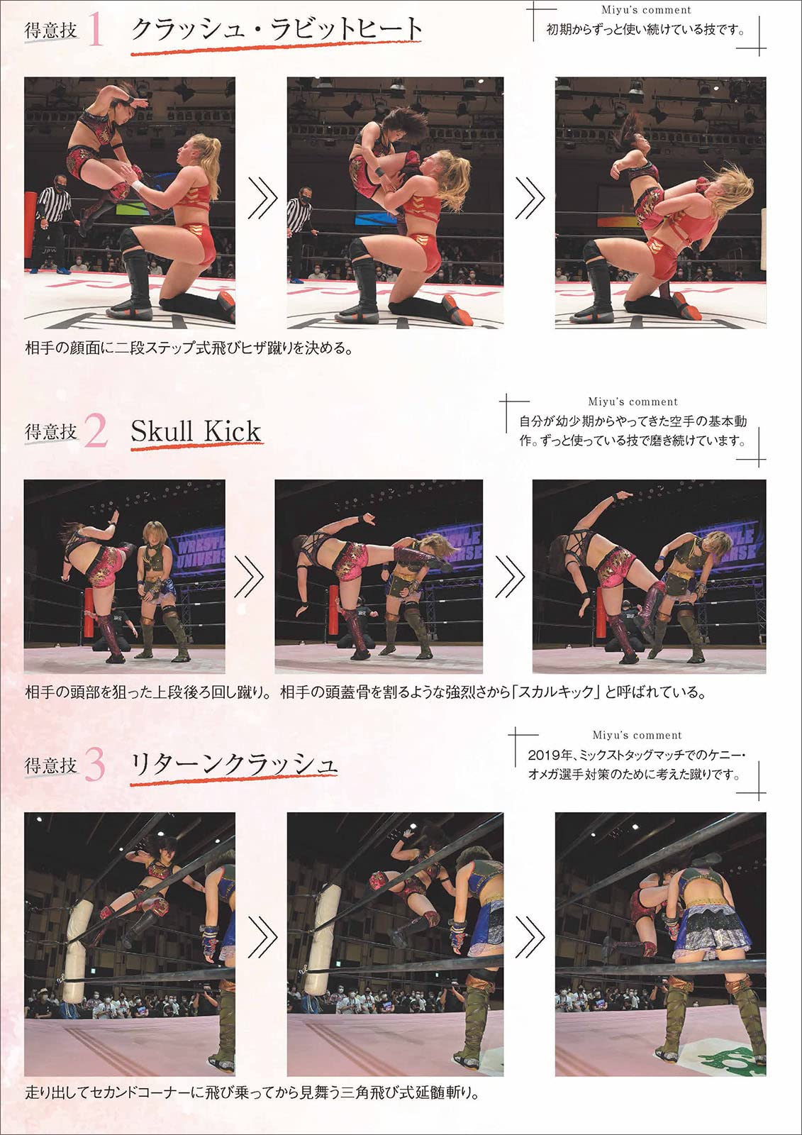 Tokyo Joshi Pro-Wrestling Official Fun Book 2023
