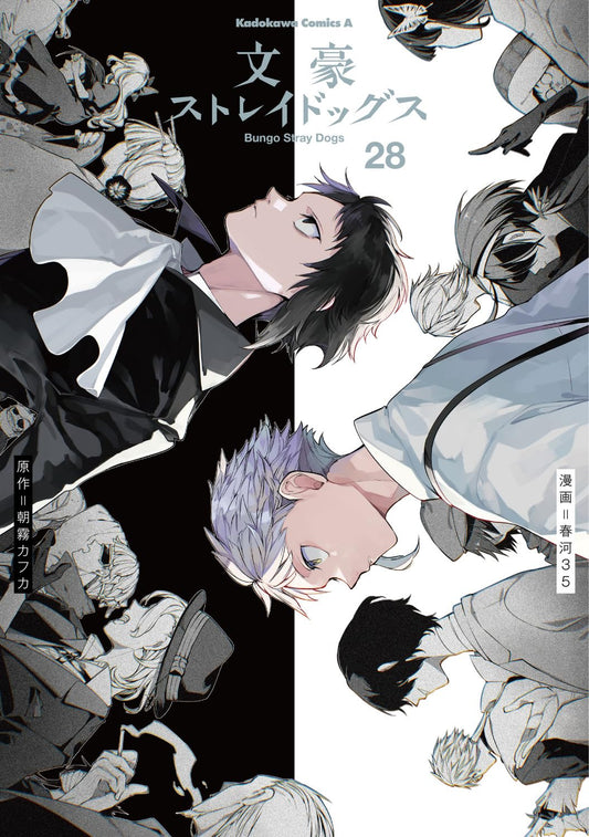 Bungou Stray Dogs volume 28 manga cover