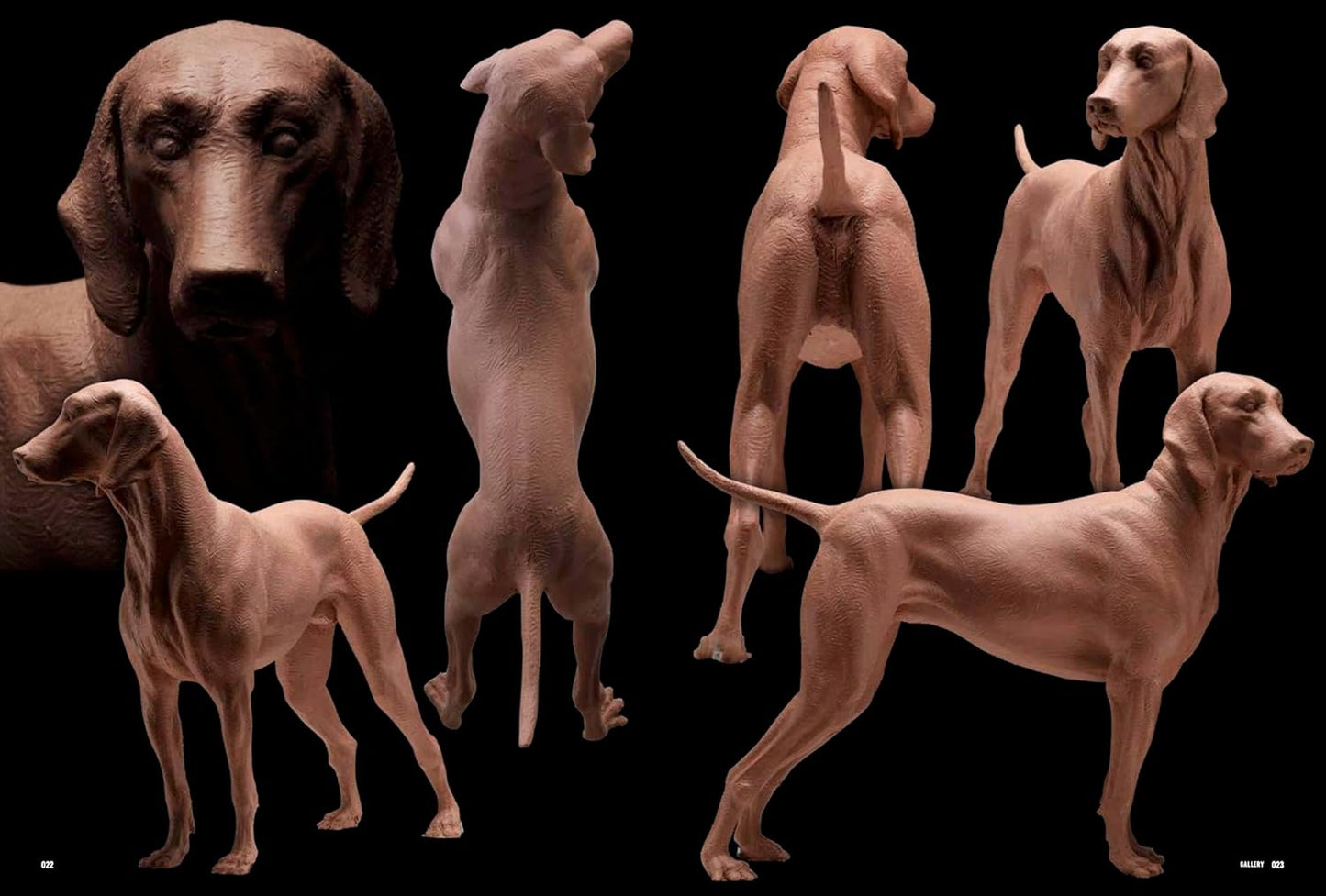 Animal Modeling - Zoological Anatomy for Sculptors Expanded Edition