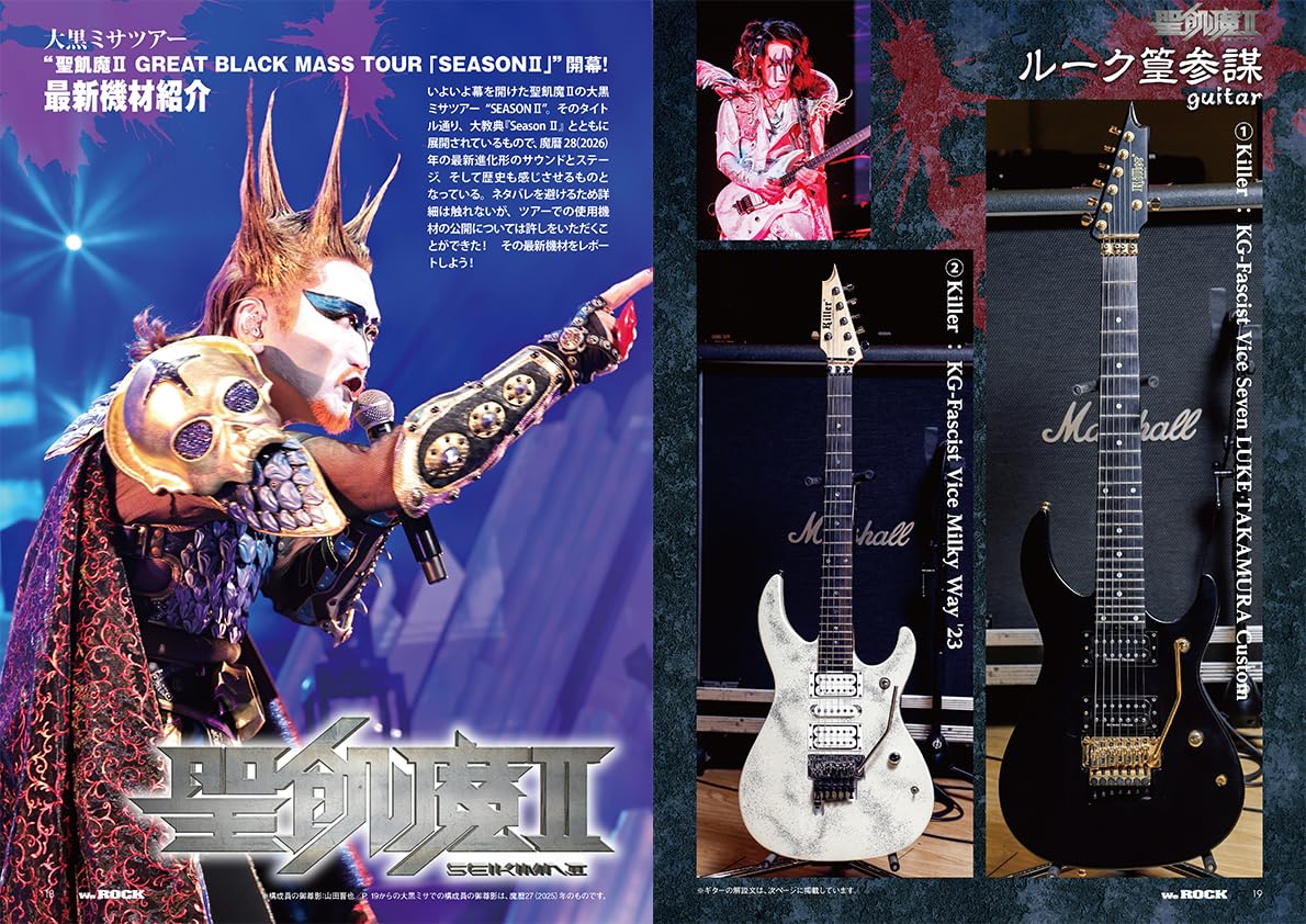 WeROCK Vol.113