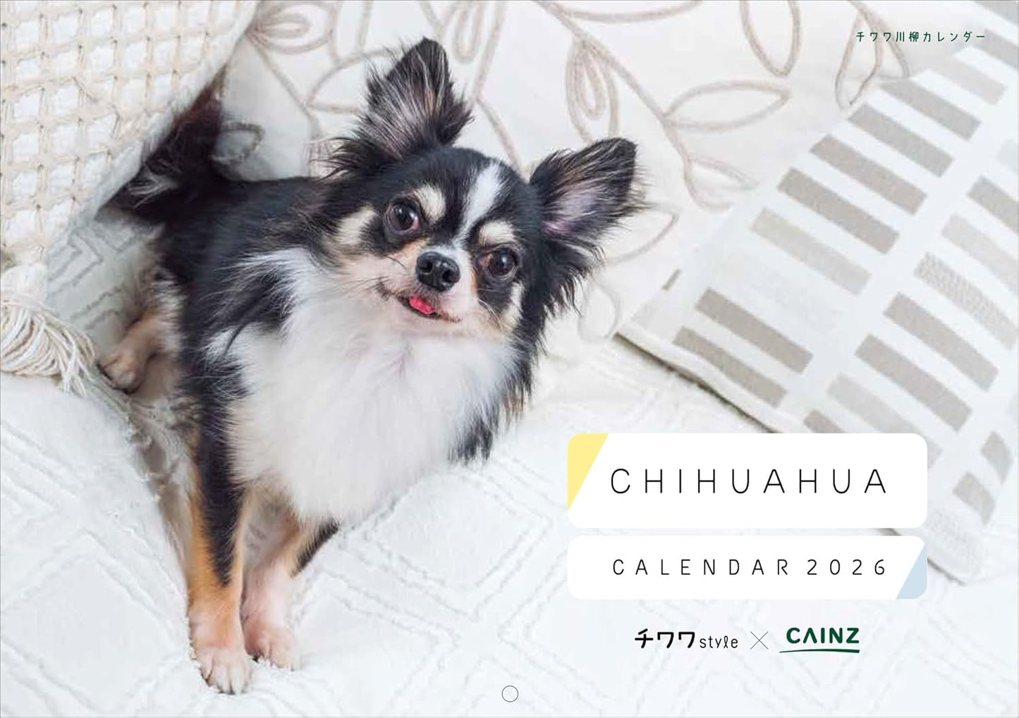 Chihuahua Style Vol.35