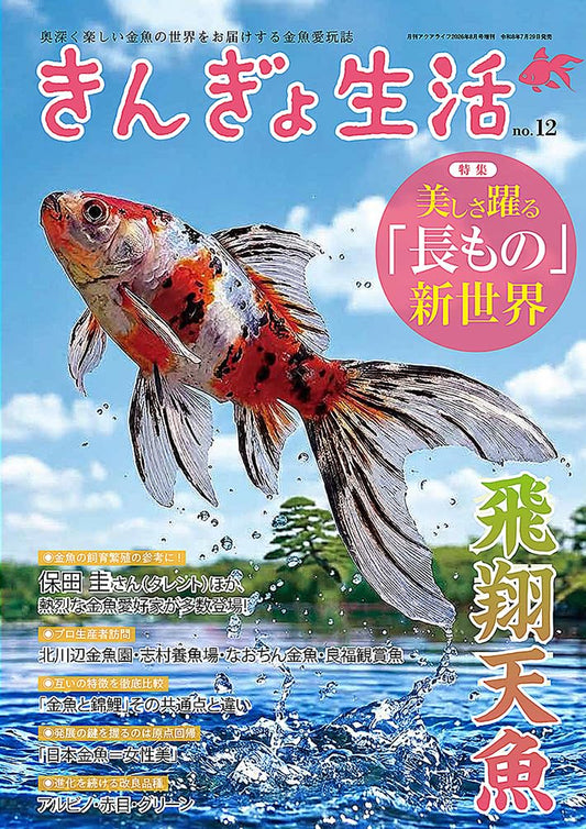 Kingyo Seikatsu Vol.12 cover