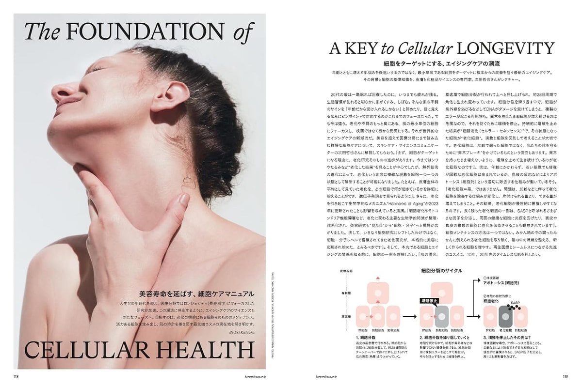 Harper's BAZAAR December 2026