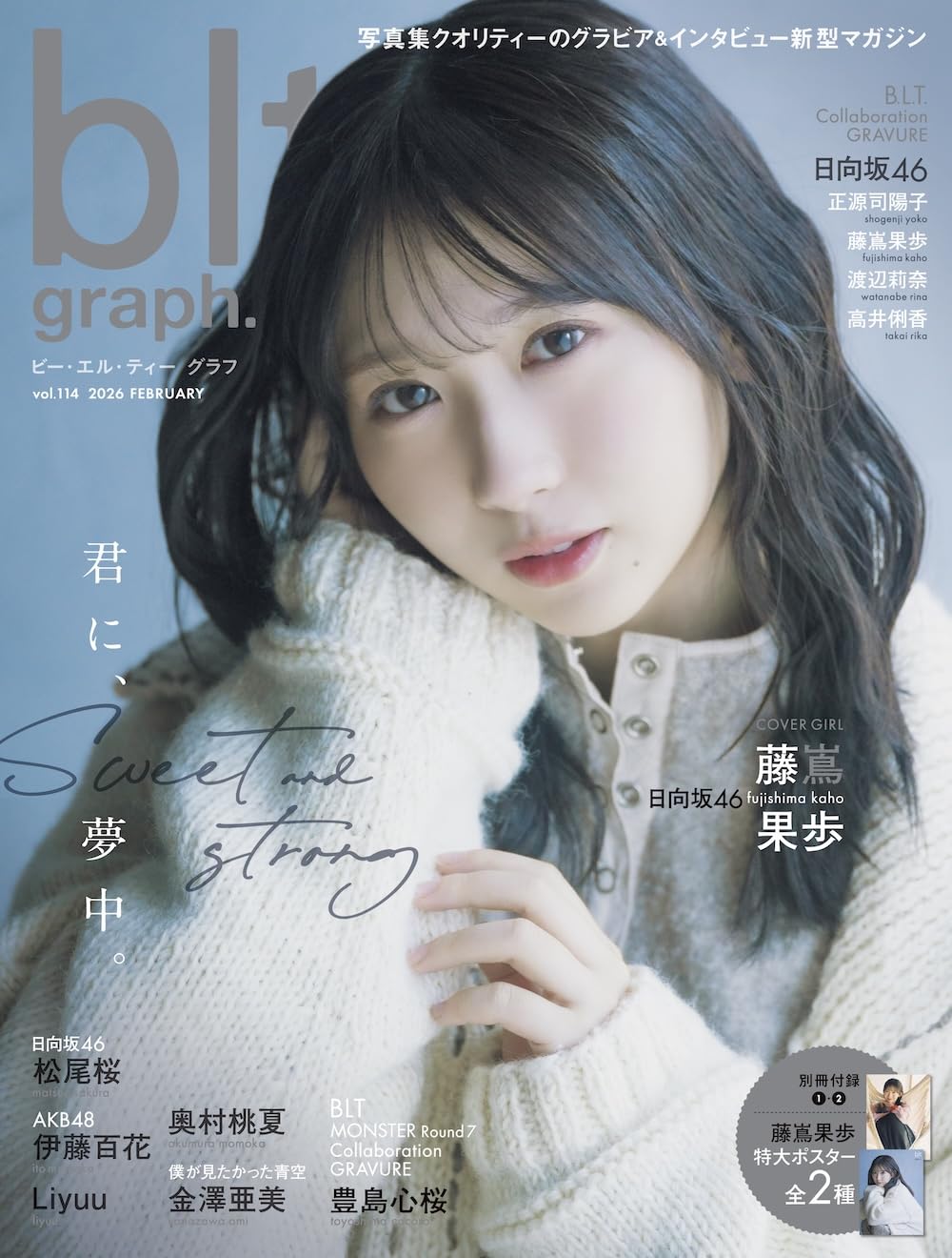 blt graph vol.114 idol magazine cover
