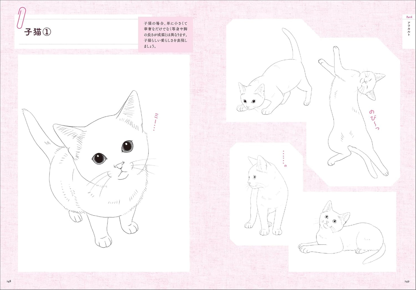 Cat Pose Illustrations