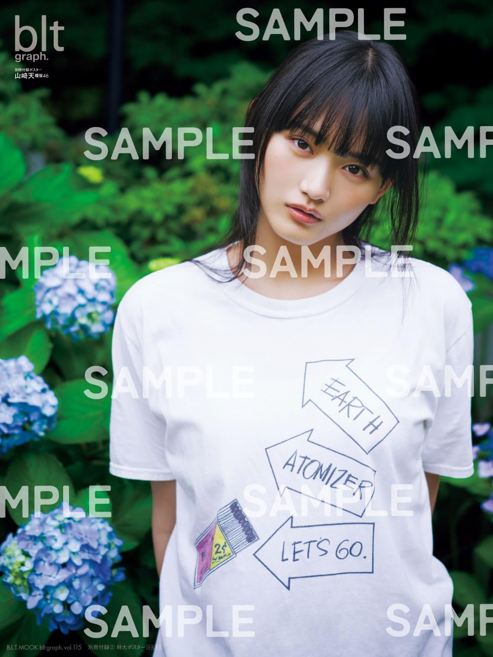 blt graph. vol.115