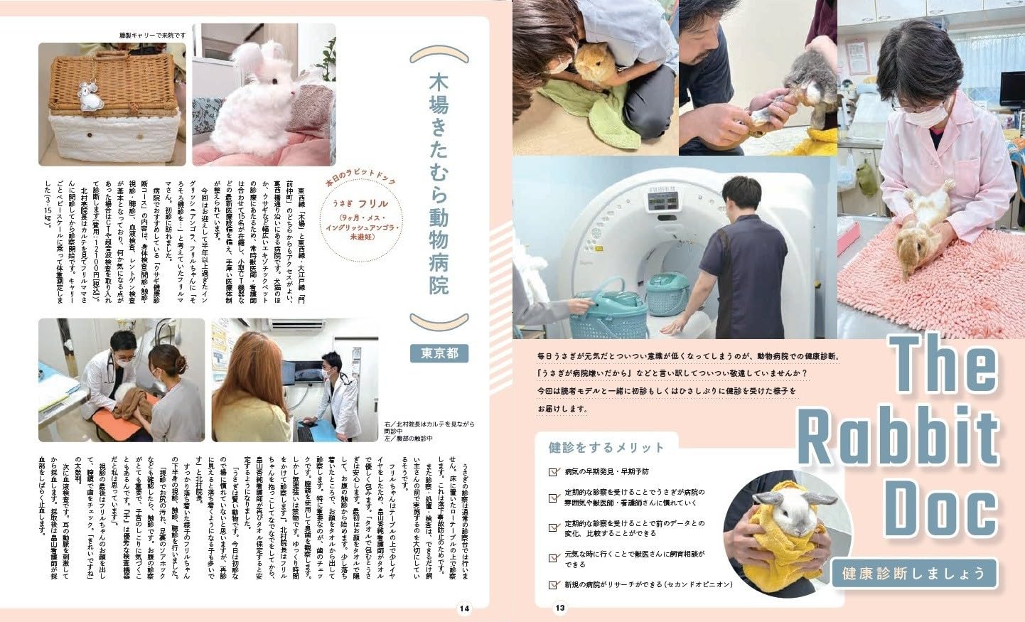 With Rabbit Vol.98 Winter 2025